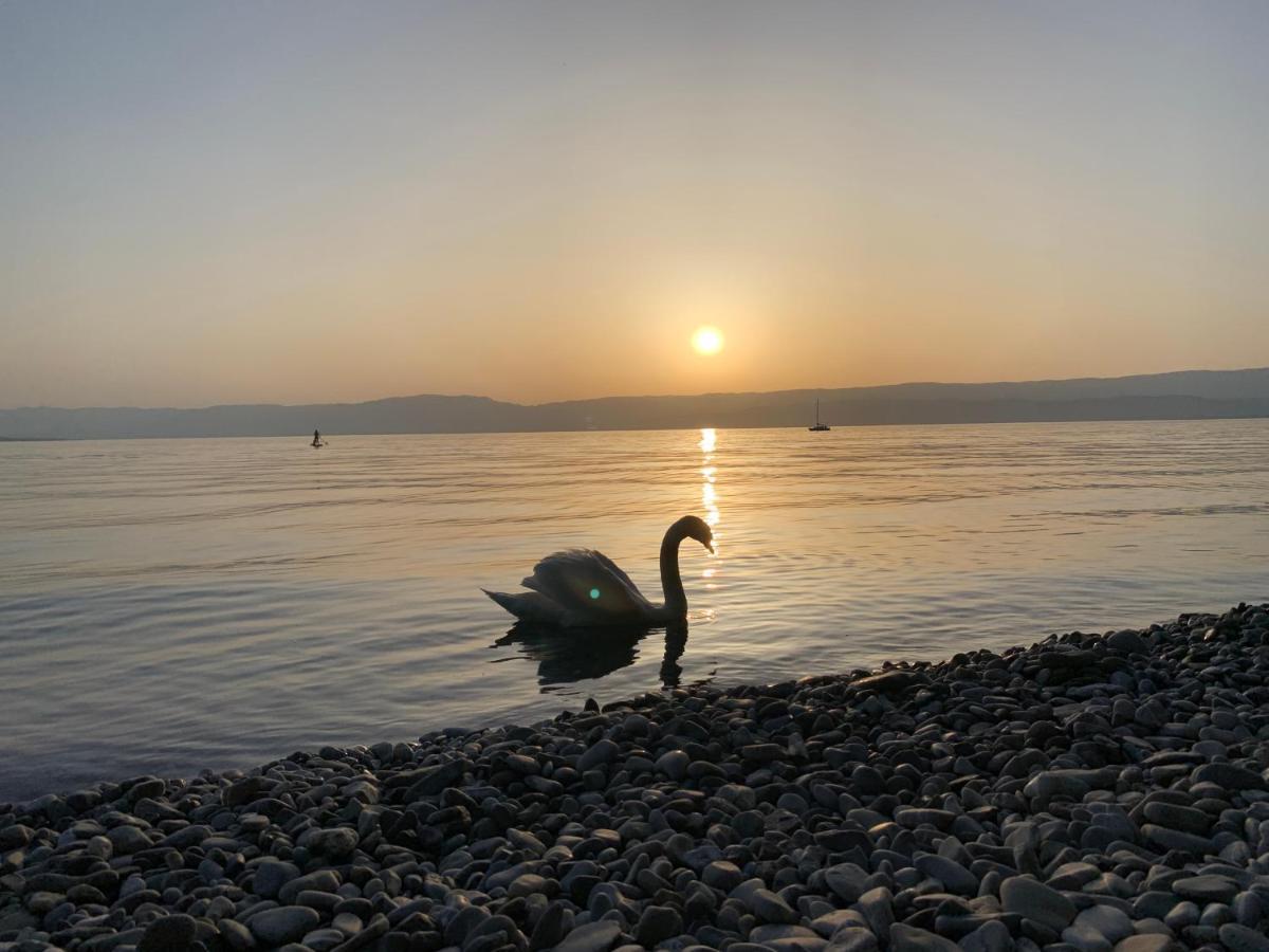 Chez Mat Bed and Breakfast Thonon-les-Bains Buitenkant foto