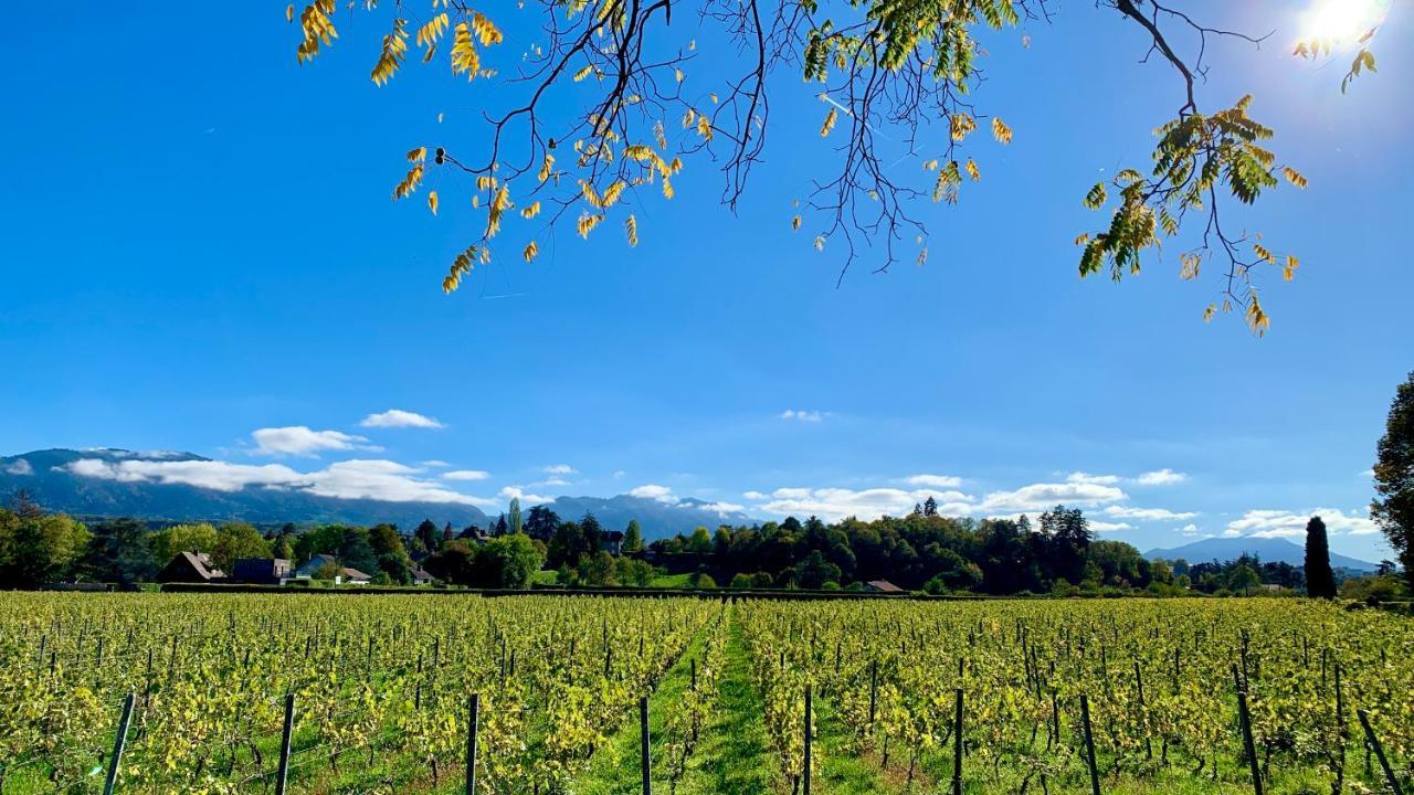 Chez Mat Bed and Breakfast Thonon-les-Bains Buitenkant foto